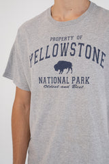 Yellowstone National Park Grey T-Shirt